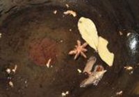香菇豆腐煲的做法 步骤7