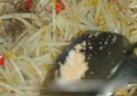 奶油炒豆芽的做法 步骤4