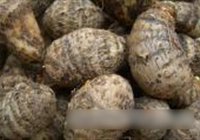 芋儿烧肉的做法 步骤1