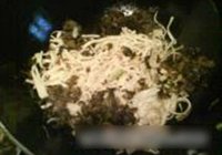 炒三丝的做法 步骤5