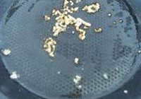 酱汁狮子头的做法 步骤8