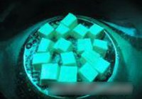 罗非鱼豆腐煲的做法 步骤2