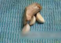 茄菇腐乳鸡的做法 步骤4