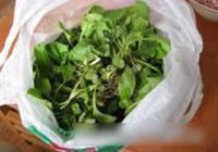 小白菜砂锅丸子的做法 步骤3