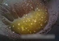 茶香牛肉萝卜卷的做法 步骤11