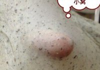 黑芝麻椰蓉辫子卷的做法 步骤3
