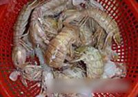 椒盐皮皮虾的做法 步骤4