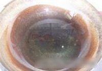 椒盐皮皮虾的做法 步骤5