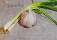 千层芥菜鸡丝的做法 步骤3