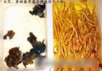 肉片茶树菇烧木耳的做法 步骤3