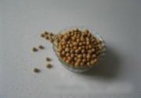 黄豆猪手煲的做法 步骤1