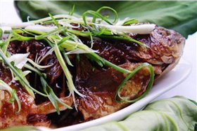 鸳鸳鲤