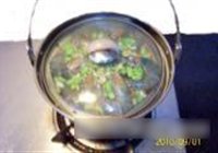 一锅焖的做法 步骤20