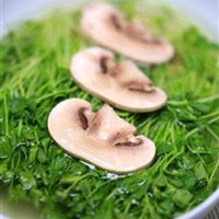 豆苗蘑菇汤的做法