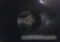 香辣狗肉的做法 步骤4