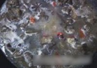 香辣狗肉的做法 步骤7