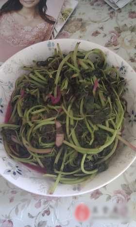 炒红米苋