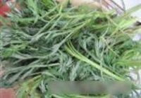 柳蒿芽炒肉丝的做法 步骤1