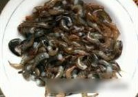 辣椒炒河虾的做法 步骤2