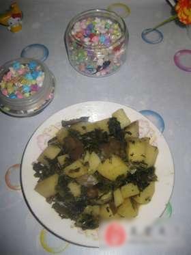 ̽ӧ