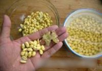 菜豆腐的做法 步骤1