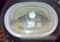 鲜味蒸鱼的做法 步骤5