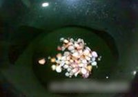 鲜味蒸鱼的做法 步骤7