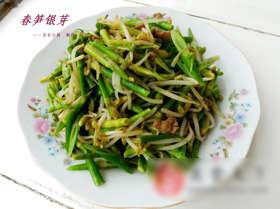 春笋银芽