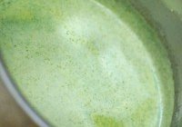 薄荷黑巧克力冰激凌的做法 步骤8