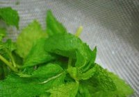 薄荷黑巧克力冰激凌的做法 步骤4