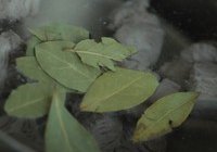 意式牛肉蔬菜汤的做法 步骤2
