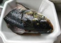 罷ͷ 1