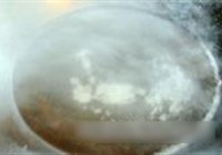 白灼猪肝尖的做法 步骤6