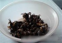 爆炒小毛蟹的做法 步骤3