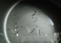 盐焗鸡的做法 步骤1