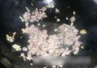 酱香茄扣的做法 步骤5