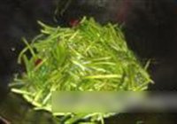 清炒芦蒿的做法 步骤5