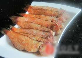 香煎鹦哥鱼