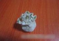 绿衣烧麦的做法 步骤11
