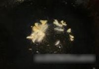 ϳ 7