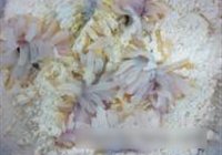 菊花鱼的做法 步骤17