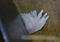 菊花鱼的做法 步骤13