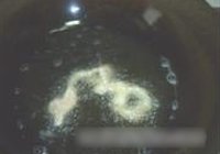 糖醋里脊的做法 步骤4