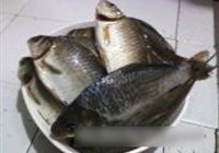 浓汤鲫鱼的做法 步骤1
