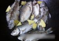 浓汤鲫鱼的做法 步骤3