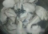 酸菜焗大蚝的做法 步骤4