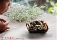 鲜菇炒牛肉的做法 步骤15