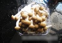 鲜菇炒牛肉的做法 步骤7