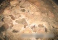 秘制砂锅酥焖牛腩的做法 步骤2