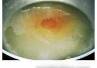 泡椒鲫鱼的做法 步骤11